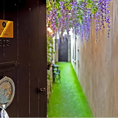 Absolute St Tropez * 圣特罗佩